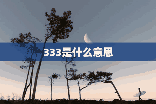 333是什么意思